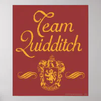 Harry Potter - Movie Poster / Print (Quidditch At Hogwarts) (Poster &  Poster Strip Set)