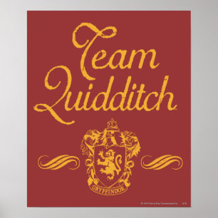 Harry Potter Team QUIDDITCH™ Poster