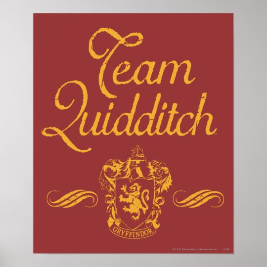 Harry Potter | Team QUIDDITCH™ Poster | Zazzle.com