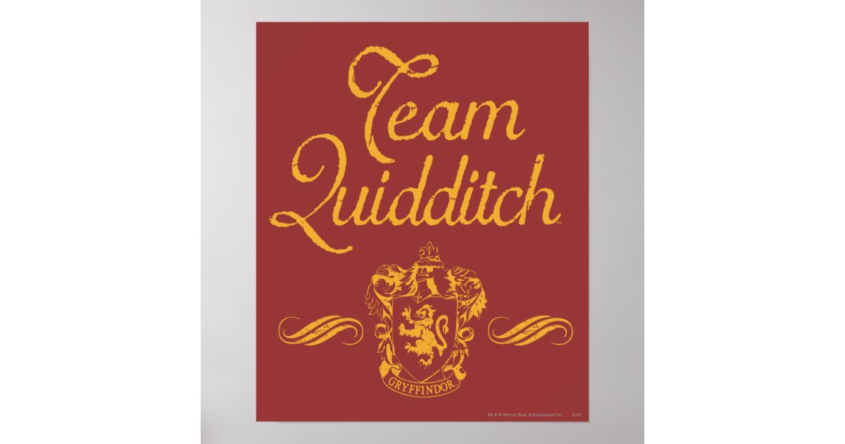 Harry Potter | Team QUIDDITCH™ Poster | Zazzle