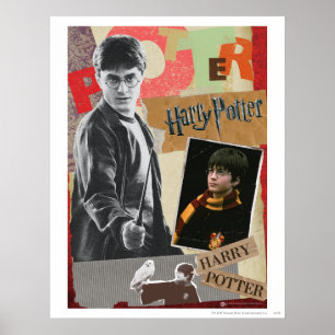 Harry Potter Then and Now Poster