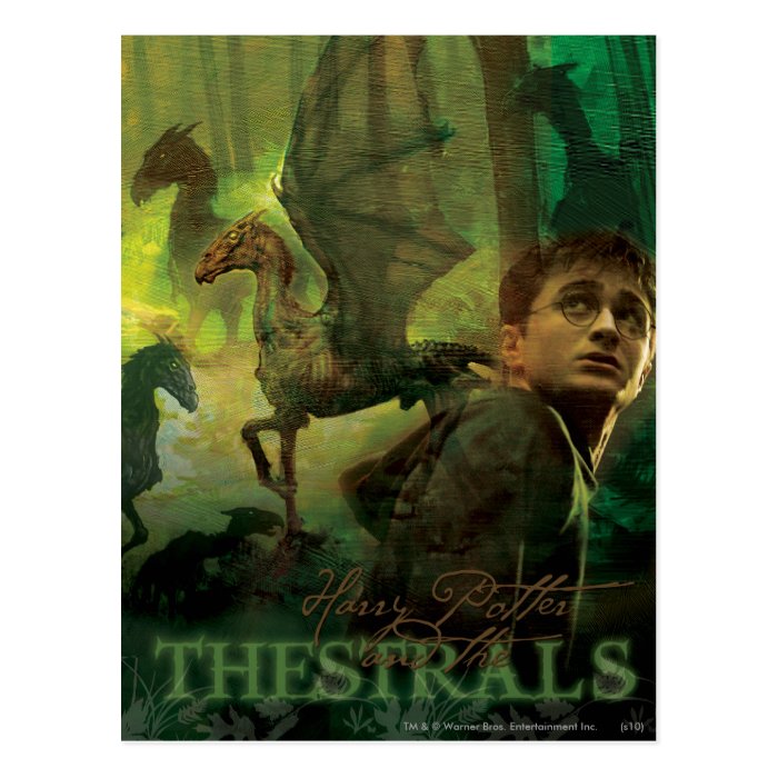 Harry Potter Thestrals Post Cards