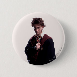 Harry Potter Wand Raised Button