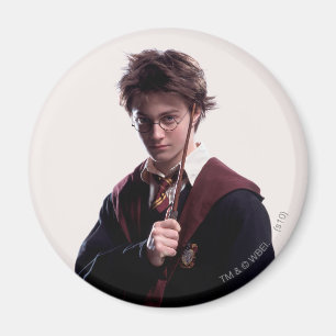 Harry Potter Wand Raised Magnet
