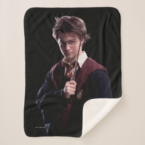 Harry Potter Wand Raised Sherpa Blanket