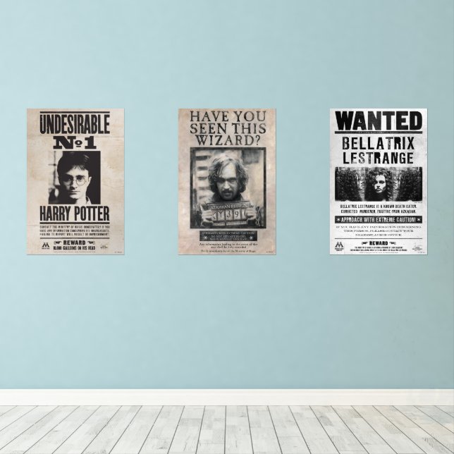 HARRY POTTER™ Wanted Wall Art Sets (Wood Floor)