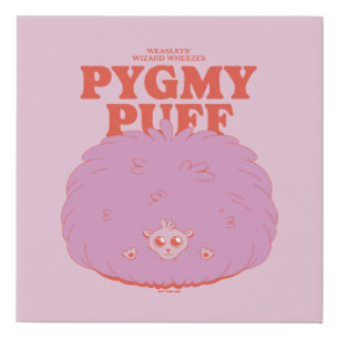 HARRY POTTER™   Weasley's Wizard Pygmy Puff Faux Canvas Print