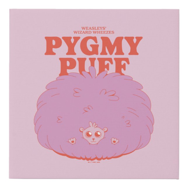 HARRY POTTER™ | Weasley's Wizard Pygmy Puff Faux Canvas Print (Front)