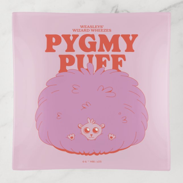 HARRY POTTER™ | Weasley's Wizard Pygmy Puff Trinket Tray (Front)