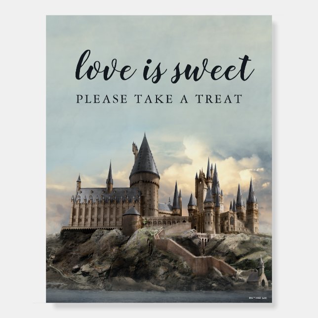 Harry Potter Wedding Reception Please Take One Foam Board (Front)