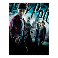 Harry Potter With Dumbledore Ron and Hermione 1 Postcard