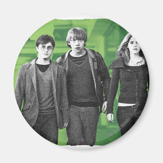Harry, Ron, and Hermione 1 Magnet (Front)