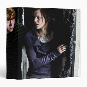 Harry, Ron, and Hermione 4 Binder