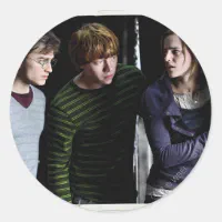 Sticker Harry, Hermione y Ron