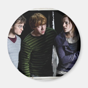 Harry, Ron, and Hermione 4 Magnet