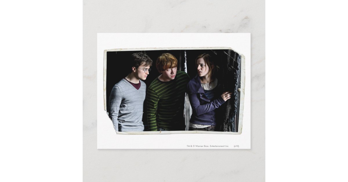 Harry Ron And Hermione 4 Postcard Zazzle 1377