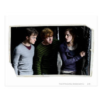 Harry, Ron, and Hermione 4 Postcard