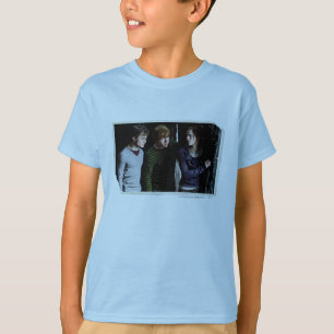 Harry, Ron, and Hermione 4 T-Shirt