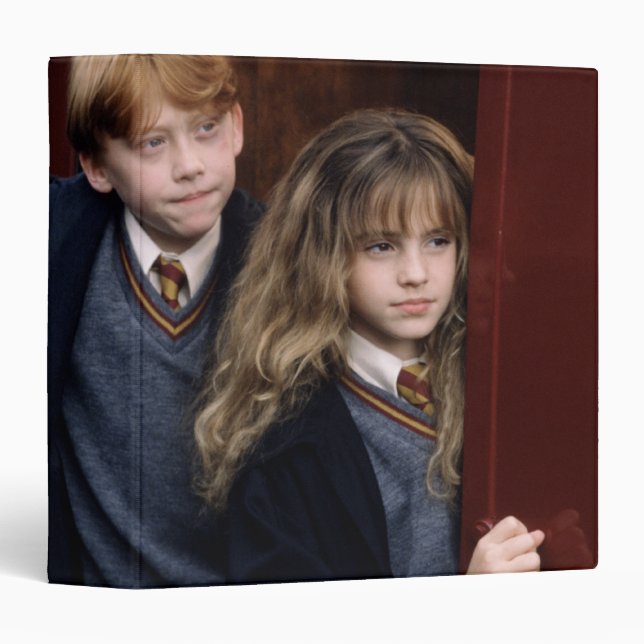 Harry, Ron, and Hermione Binder (Front/Spine)