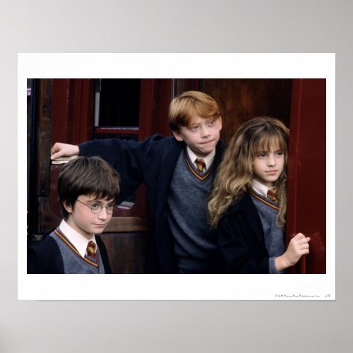 Harry Ron and Hermione Poster