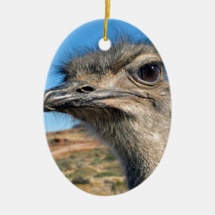Harry the Happy Ostrich Ceramic Ornament
