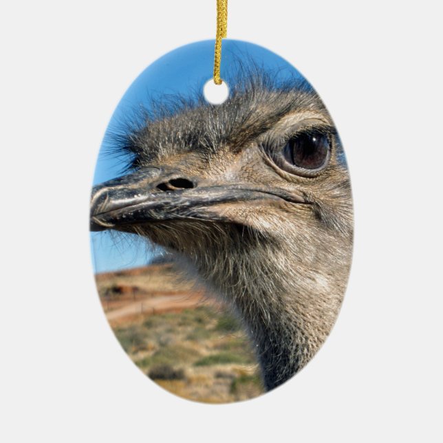 Harry the Happy Ostrich Ceramic Ornament (Front)