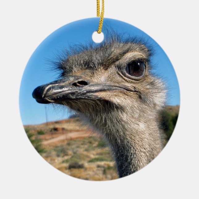 Harry the Happy Ostrich Ceramic Ornament (Front)