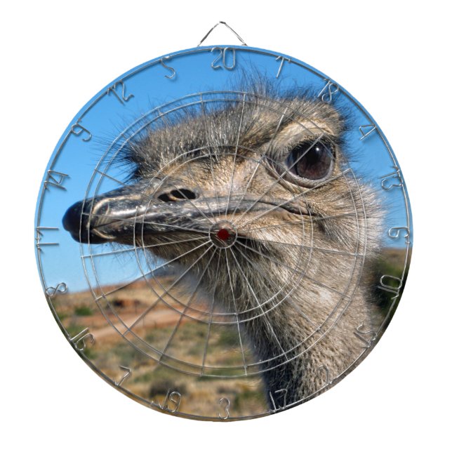Harry the Happy Ostrich Dart Board (Front)