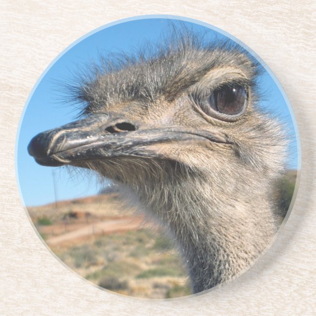Harry the Happy Ostrich Drink Coaster (Front)