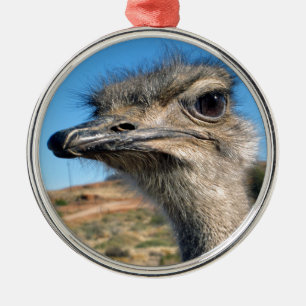 Harry the Happy Ostrich Metal Ornament