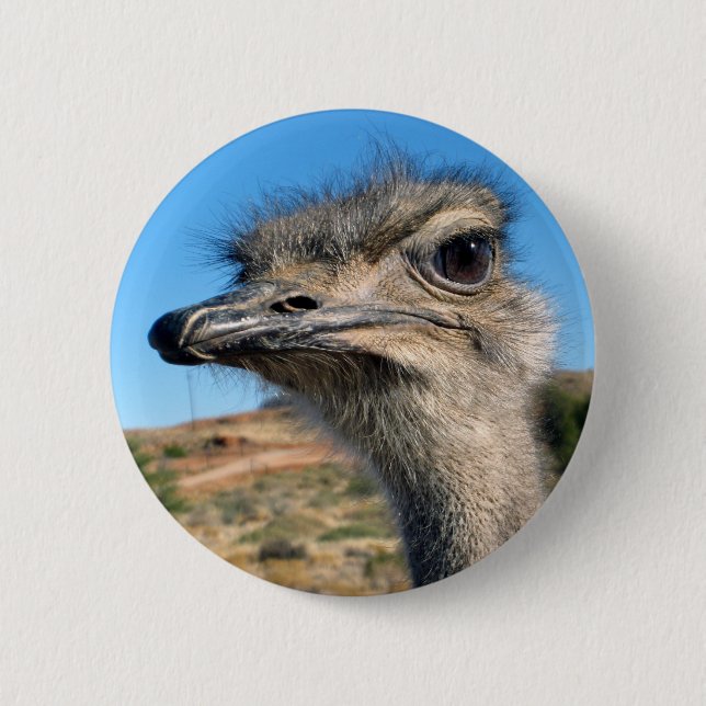 Harry the Happy Ostrich Pinback Button (Front)