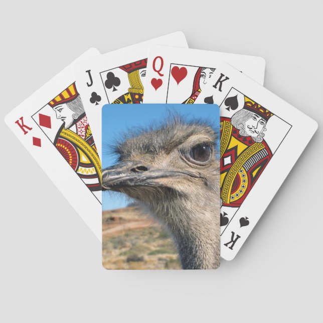 Harry the Happy Ostrich Poker Cards (Back)
