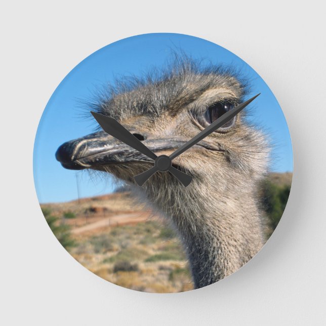 Harry the Happy Ostrich Round Clock (Front)
