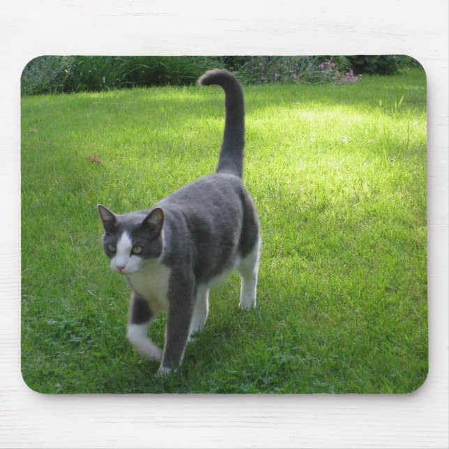 Harrypad 1 mouse pad (Front)