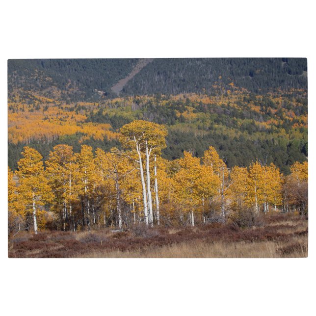 Hart Prairie Metal Print (Front)