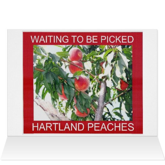 HARTLAND ORCHARDS (Inside Horizontal (Top))