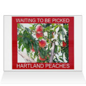 HARTLAND ORCHARDS CARDS (Inside Horizontal (Top))