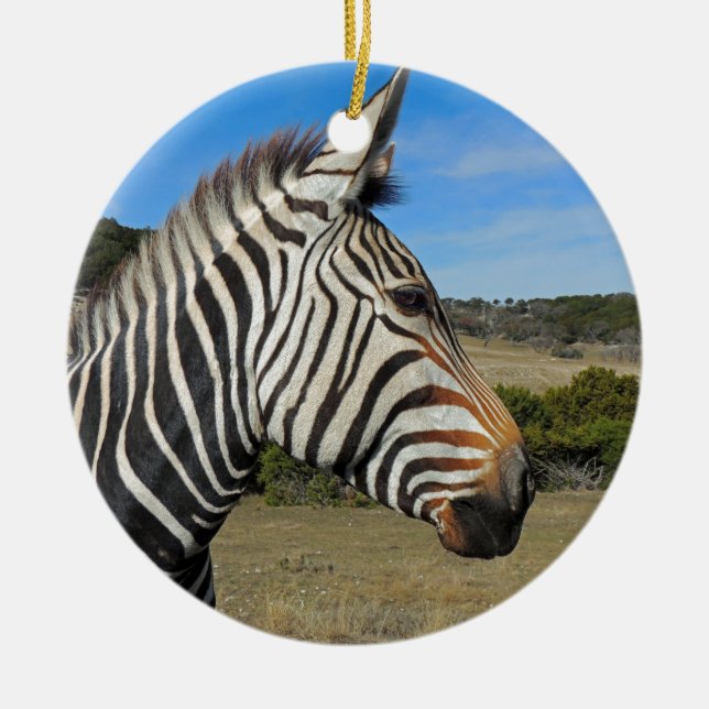 Hartmann's Zebra Profile at Fossil Rim Ceramic Ornament (Front)