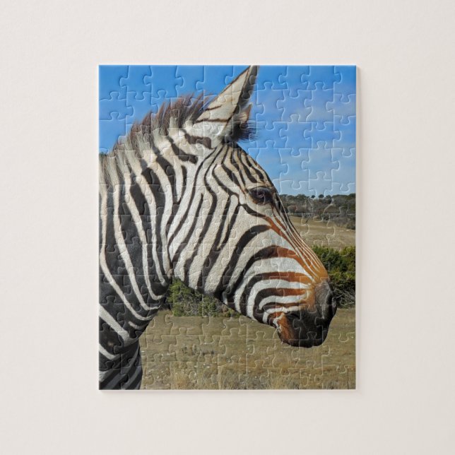 Hartmann's Zebra Profile at Fossil Rim Jigsaw Puzzle (Vertical)