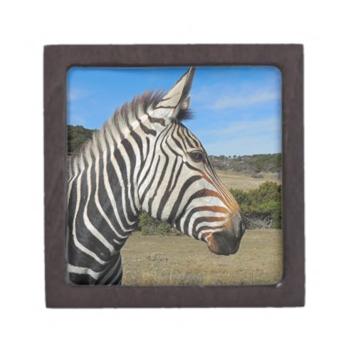 Hartmanns Zebra Profile at Fossil Rim Keepsake Box