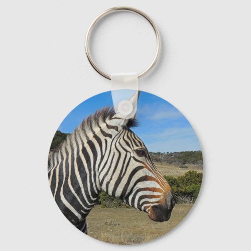 Hartmanns Zebra Profile at Fossil Rim Keychain