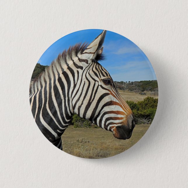 Hartmann's Zebra Profile at Fossil Rim Pinback Button (Front)