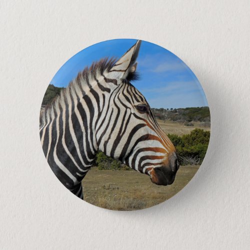 Hartmanns Zebra Profile at Fossil Rim Pinback Button