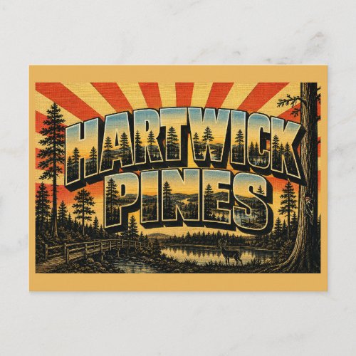 Hartwick Pines Michigan Old Growth Forest Lakes Postcard