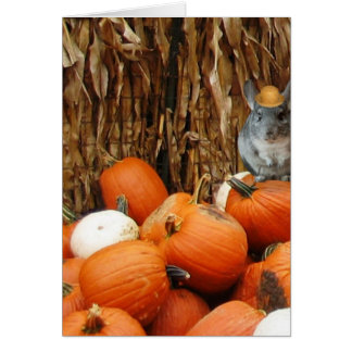 Harvest Chinchilla Cards