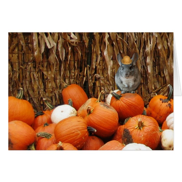 Harvest Chinchilla Greeting Cards