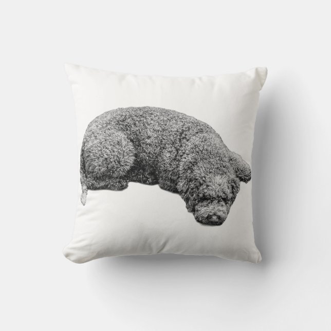 Harvest Evening Calm Throw Pillow (Front)