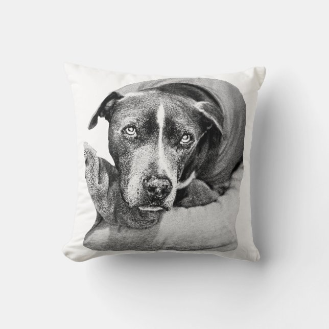 Harvest Evening Companion Throw Pillow (Front)