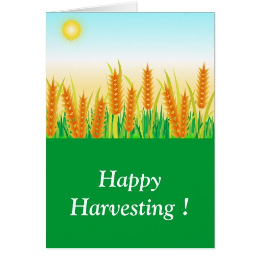 Harvest festival (Front)