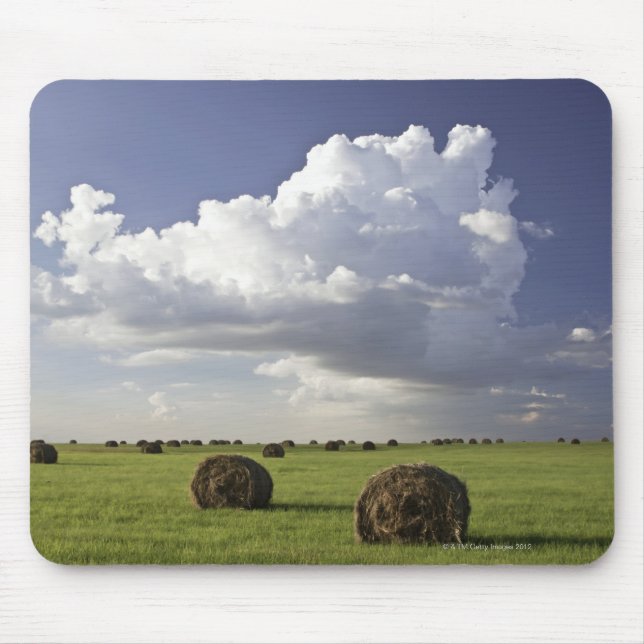 Harvest fields with storm clouds, Heidelberg Mouse Pad (Front)